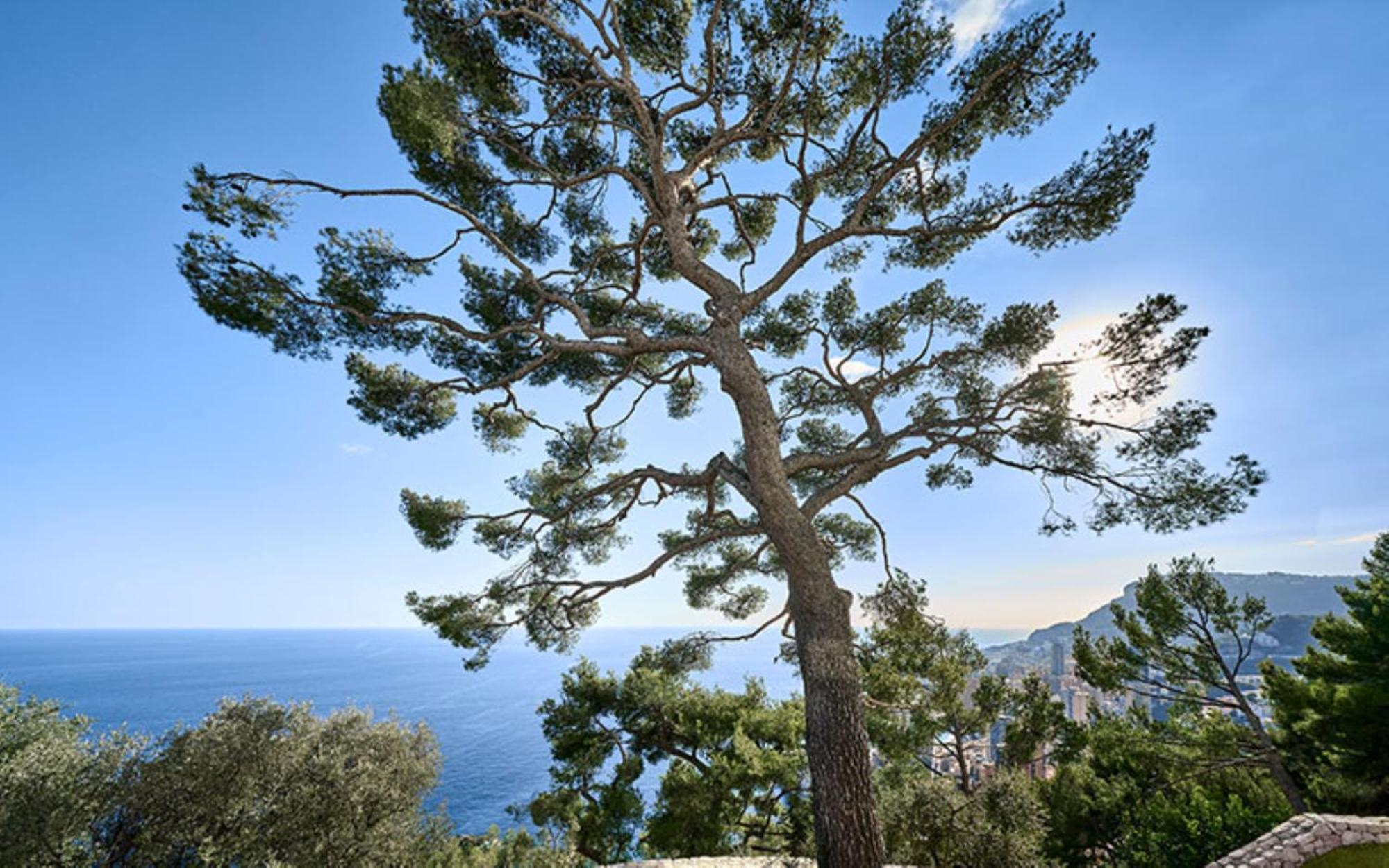 The Maybourne Riviera, Maybourne Hotel Collection Roquebrune-Cap-Martin Buitenkant foto